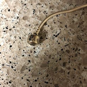 Pandora charm bracelet